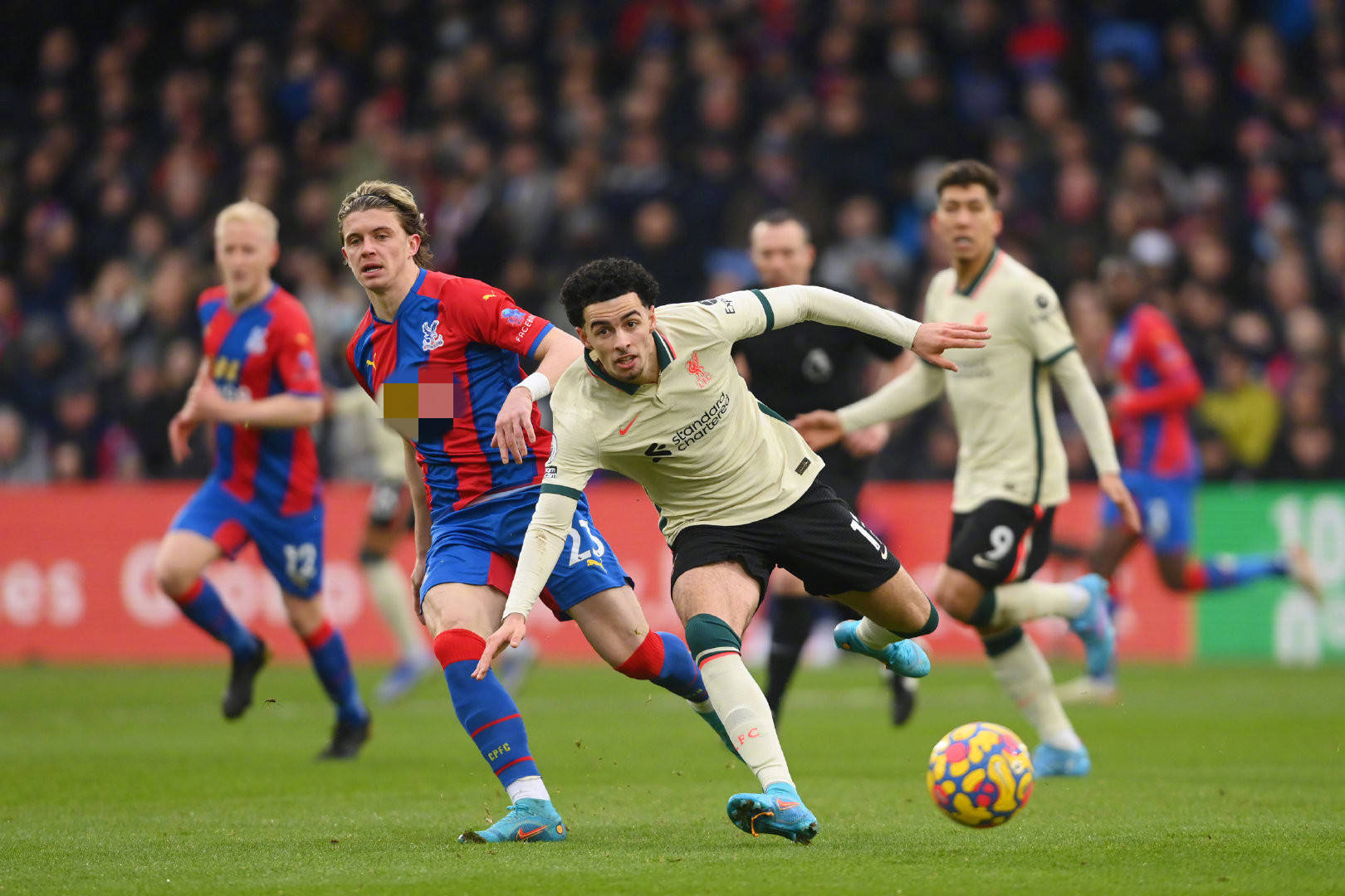 未来几年内 未来几年内